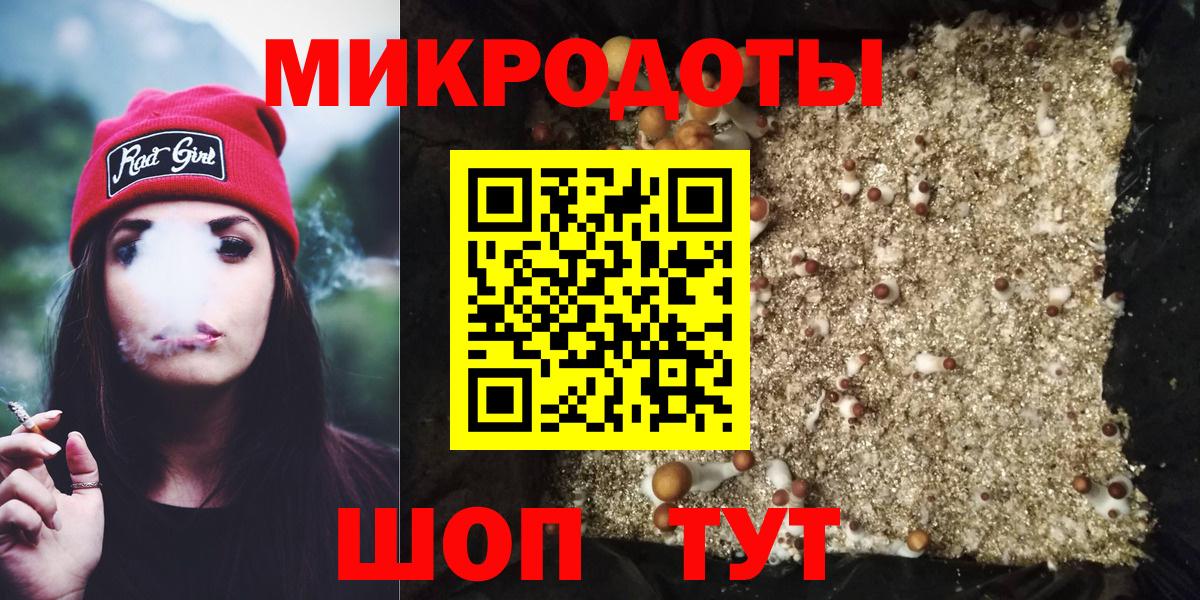 Галлюциногенные грибы мухоморы Минусинск