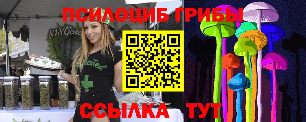 Псилоцибиновые грибы Psilocybe  Вход с VPN  Минусинск 